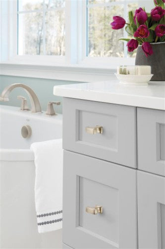Westerly Zinc Satin Nickel Cabinet Knob 3