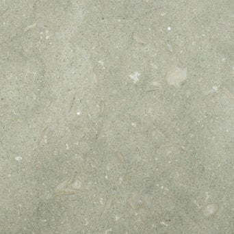 Sea Grass Honed Limestone Tile - 18" x 18" x 1/2"