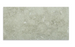 Full Tile Sample - Sea Grass Limestone Tile - 12" x 24" x 1/2" Flamed & Brushed