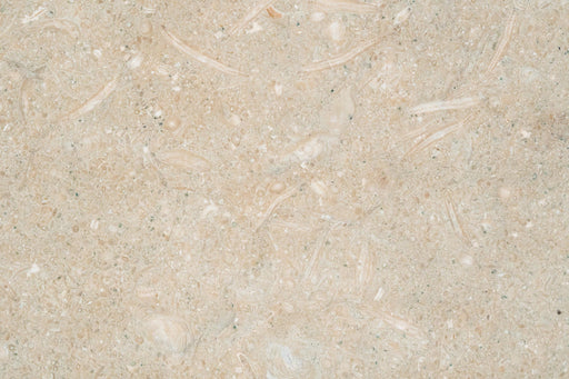 Full Tile Sample - Sea Grass Limestone Tile - 12" x 12" x 3/8" Honed