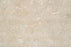 Full Tile Sample - Sea Grass Limestone Tile - 12" x 12" x 3/8" Honed