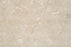 Full Tile Sample - Sea Grass Limestone Tile - 16" x 16" x 3/8" Honed