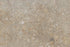 Full Tile Sample - Sea Grass Limestone Tile - 18" x 18" x 1/2" Polished