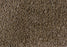 Avantgarde Shaggy Plush Metallic Beige 6595