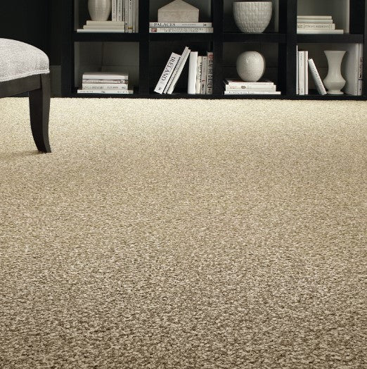 Avantgarde Shaggy Plush Polypropylene Sand 6565