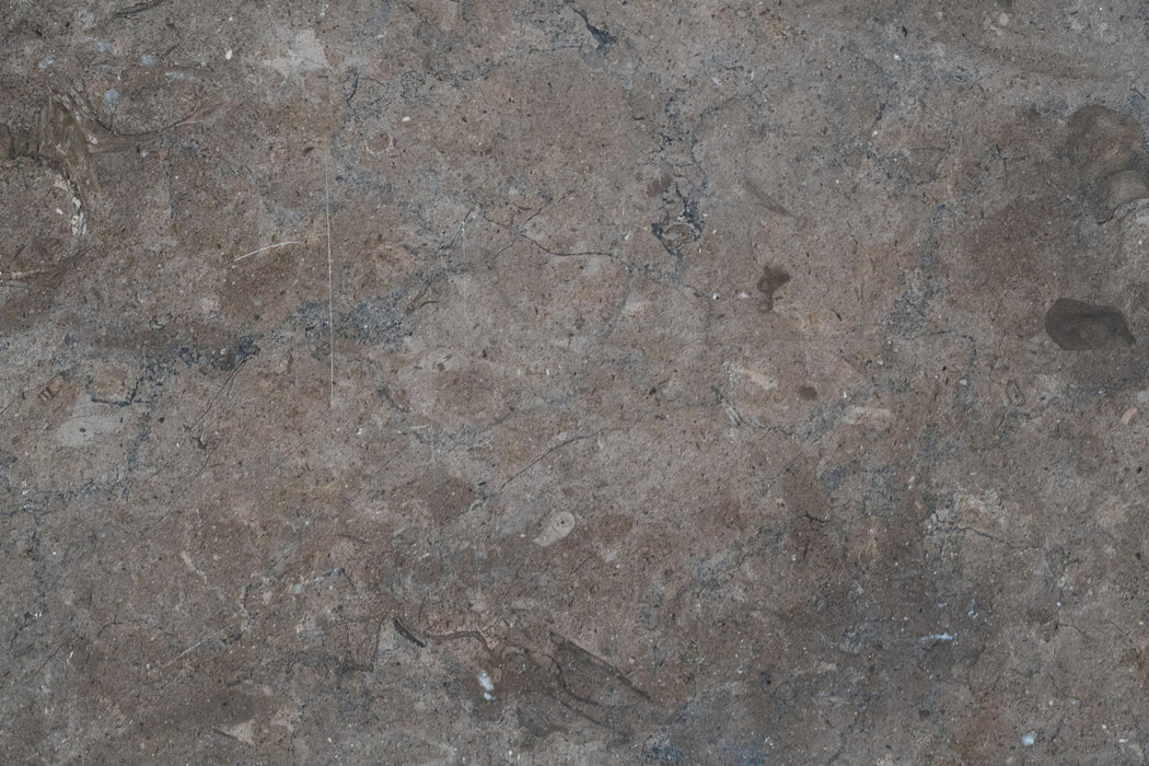 Full Tile Sample - Shark Skin Limestone Tile - 2" x 16" x 3/8" Honed