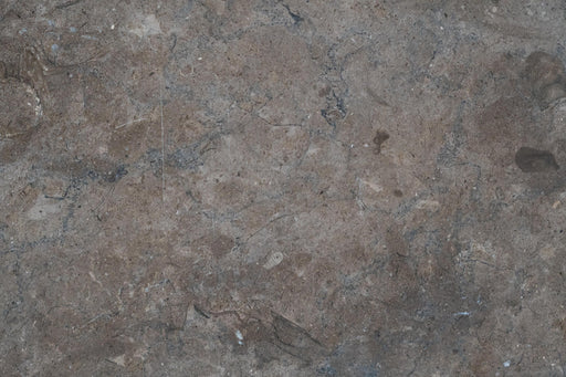 Full Tile Sample - Shark Skin Limestone Tile - 2" x 16" x 3/8" Honed