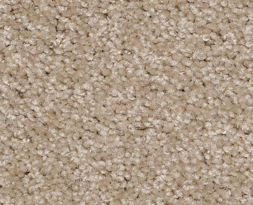Jet Liner II Nylon Shell Island 120 Area Rug HGN71 Textured 1