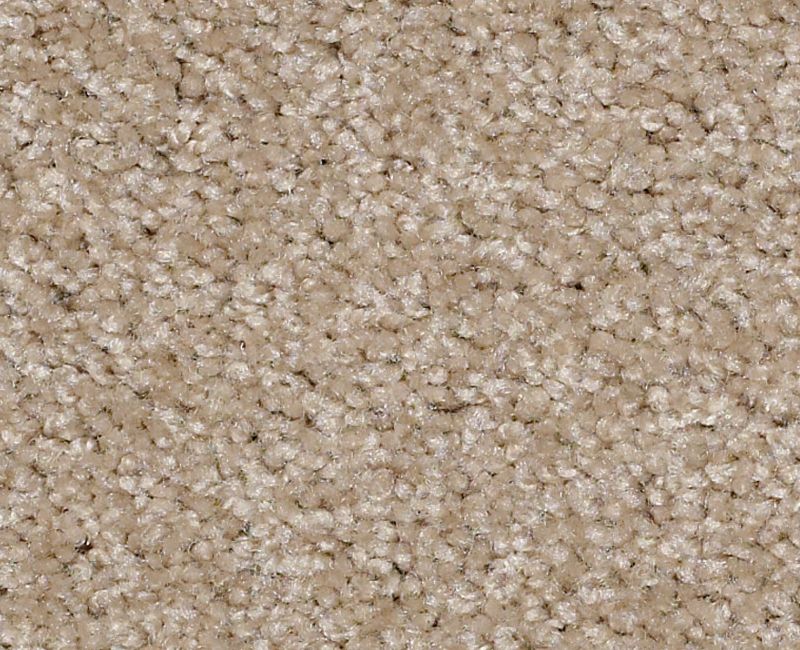 Time Swept Nylon Shell Island 120 Area Rug LR060 Textured 1