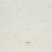 Shell Reef Limestone Tile - Brushed 2