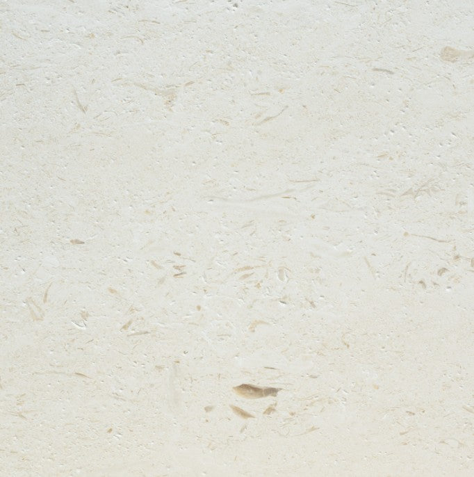 Shell Reef Limestone Tile - Honed 2