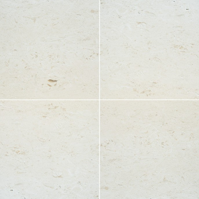 Shell Reef Limestone Tile - Honed 3