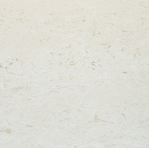 Shell Reef Limestone Tile - Polished 1