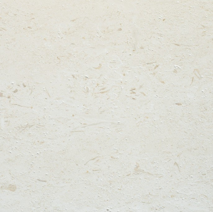 Shell Reef Limestone Tile - Honed 1