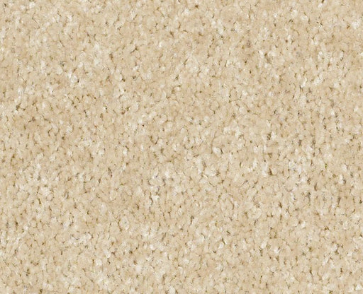 Nylon Shell 760 Area Rug XV420 Textured 1