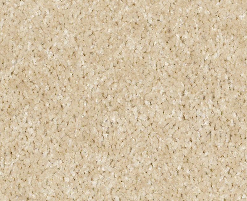 Nylon Shell 760 Area Rug XV420 Textured 1