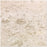 Full Tile Sample - Shell Stone Limestone Tile - 24" x 24" x 1/2" Polished