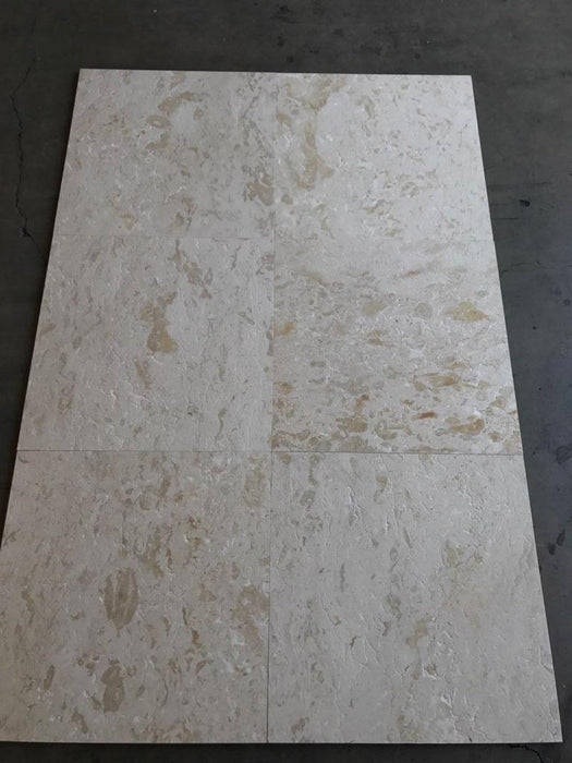 Shell Stone Brushed Limestone Tile - 18" x 36"