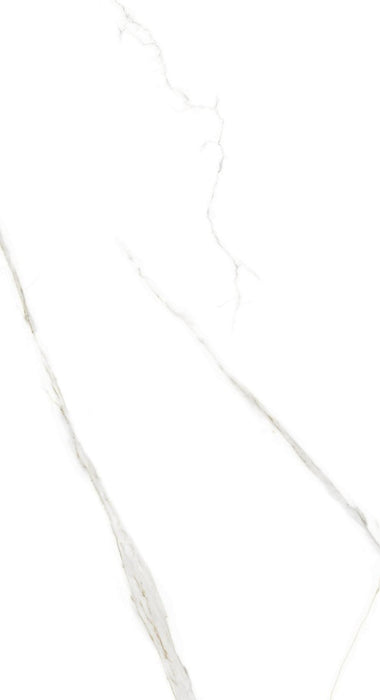 Sierra Matte 24X48 White Porcelain Tile - Matte