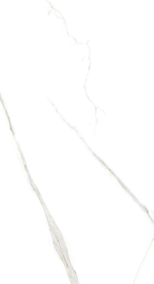Sierra Matte 24X48 White Porcelain Tile - Matte