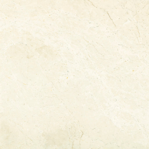 Snow White Marble Tile Honed 1