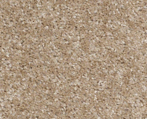 Rose Creek Nylon Soft Suede 706 Area Rug 5C324 Textured 1