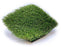 Spyglass Field Green / Clover Green 260011-ST-cut