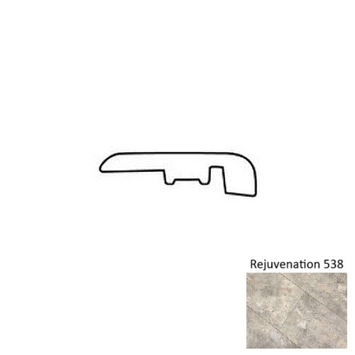 Floors 2000  Rejuvenation Vinyl 538 RJ538