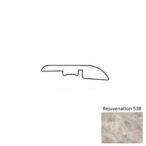 Floors 2000  Rejuvenation Vinyl 538 RJ538