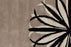 Wool 52048 Area Rug Textured 3