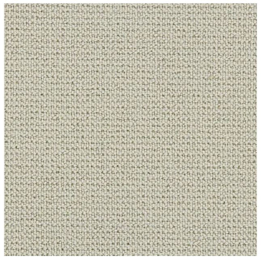 Stoney Point Wool Comfort White COMFO Carpet STPOI Textured 1