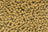Wool 1109 Area Rug Textured 3