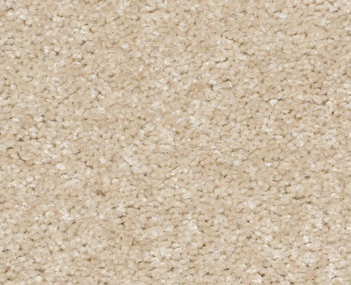 Nylon Suede 111 Area Rug XV420 Textured 1