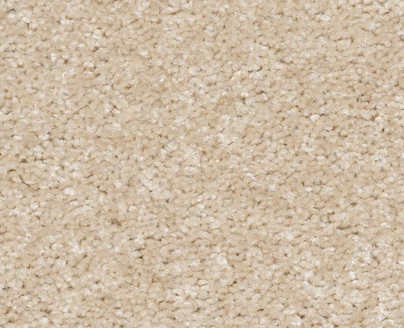 Nylon Suede 111 Area Rug XV420 Textured 1