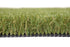 Rye Summer Natural Green  Polypropylene Turf - Urethane