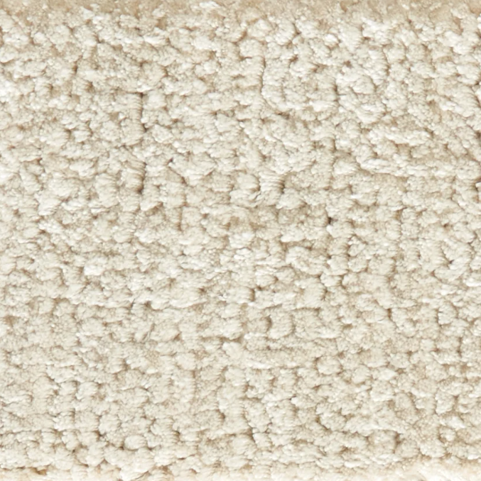 Supreme Bravado Canvas