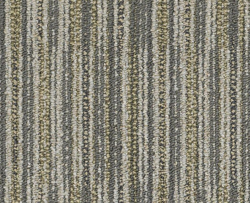 Cutaway Swatch 81204