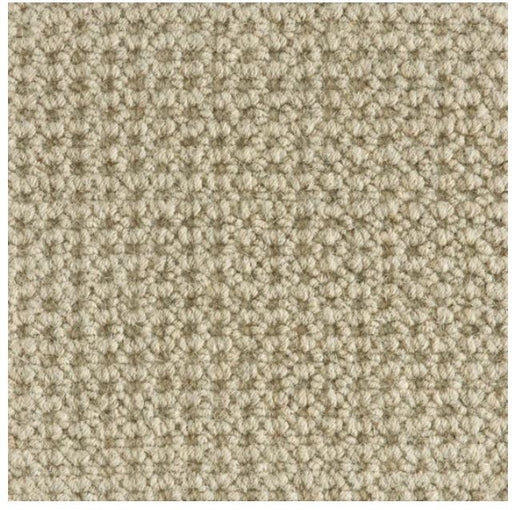 Colony Wool Taupe 73294 Carpet CLONY Textured 1
