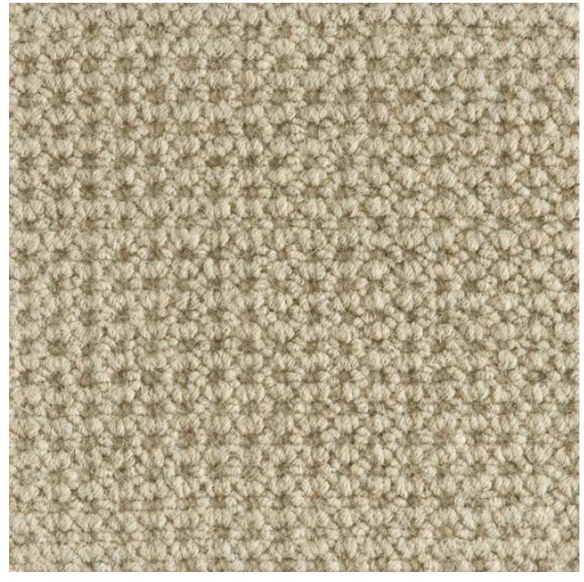 Colony Wool Taupe 73294 Carpet CLONY Textured 1