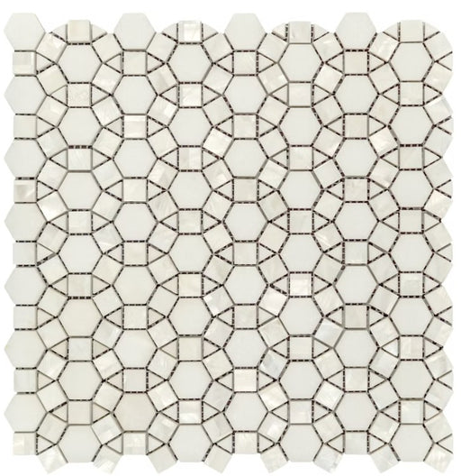 Thassos White & Sea Shell Marble Mosaic Polished 1