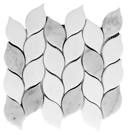 Thassos White Marble Mosaic Polished 1