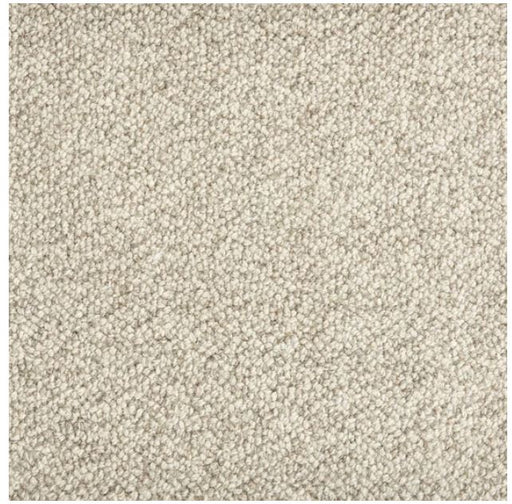 Trailblazer Wool Carbon 22612 Carpet TBLAZ Textured 1