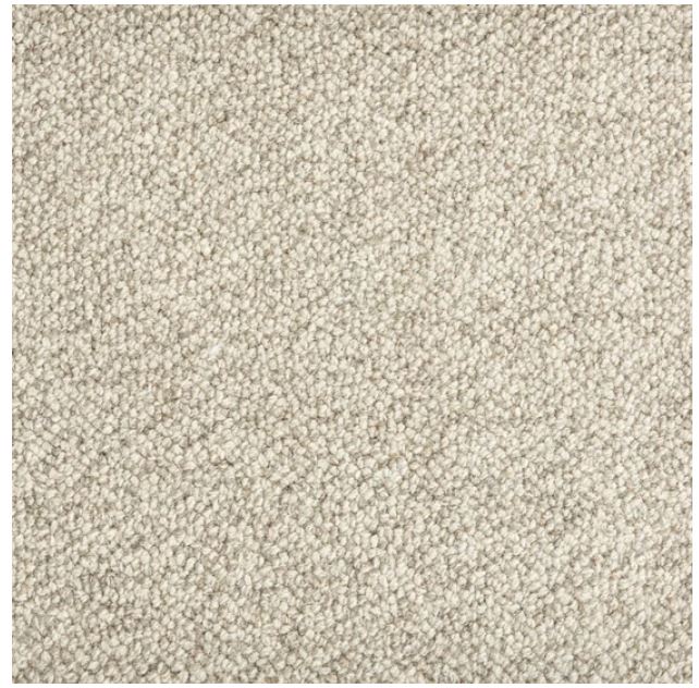 Trailblazer Wool Carbon 22612 Carpet TBLAZ Textured 1