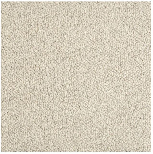 Trailblazer Wool Cloud 22610 Carpet TBLAZ Textured 1