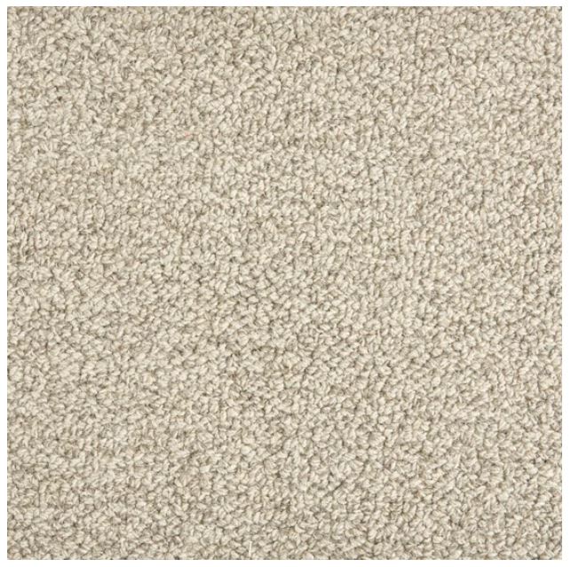 Trailblazer Wool Earl Grey 22611 Carpet TBLAZ Textured 1