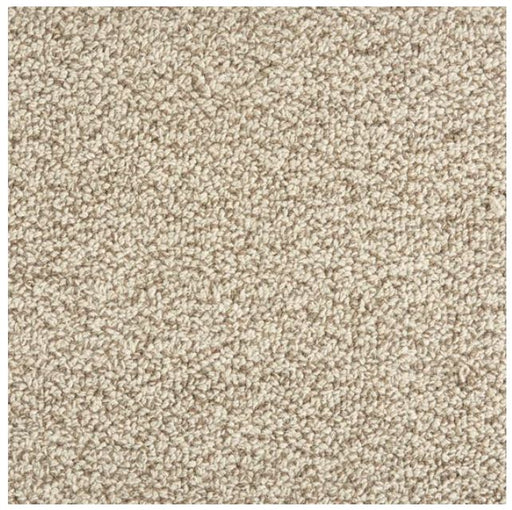 Trailblazer Wool Fossil 22619 Carpet TBLAZ Textured 1