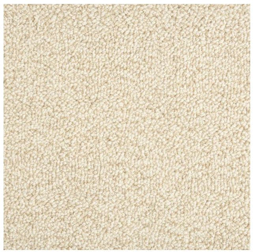 Trailblazer Wool Oats 22613 Carpet TBLAZ Textured 1