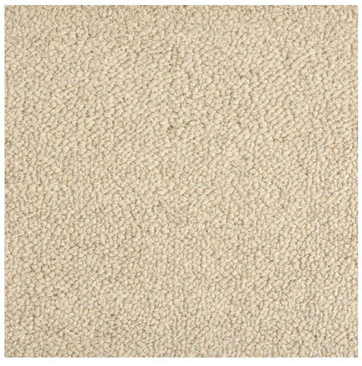 Trailblazer Wool Wheat 22616 Carpet TBLAZ Textured 1