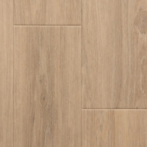 ProTek Plus Tucson PP3010V