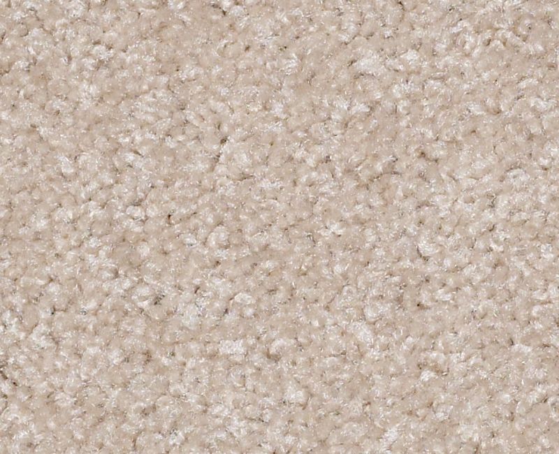 Roadrunner II Nylon Utterly Beige 00106 Area Rug HGC17 1